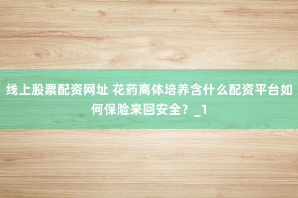 线上股票配资网址 花药离体培养含什么配资平台如何保险来回安全？_1